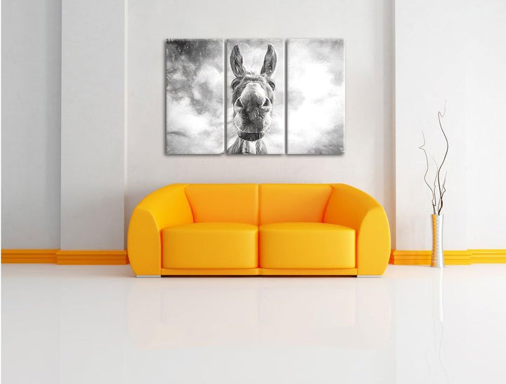 Pixxprint Lustiger Esel Kunst als Leinwandbild | Grösse: 3 Teilig (120x80) | Wandbild| Kunstdruck |