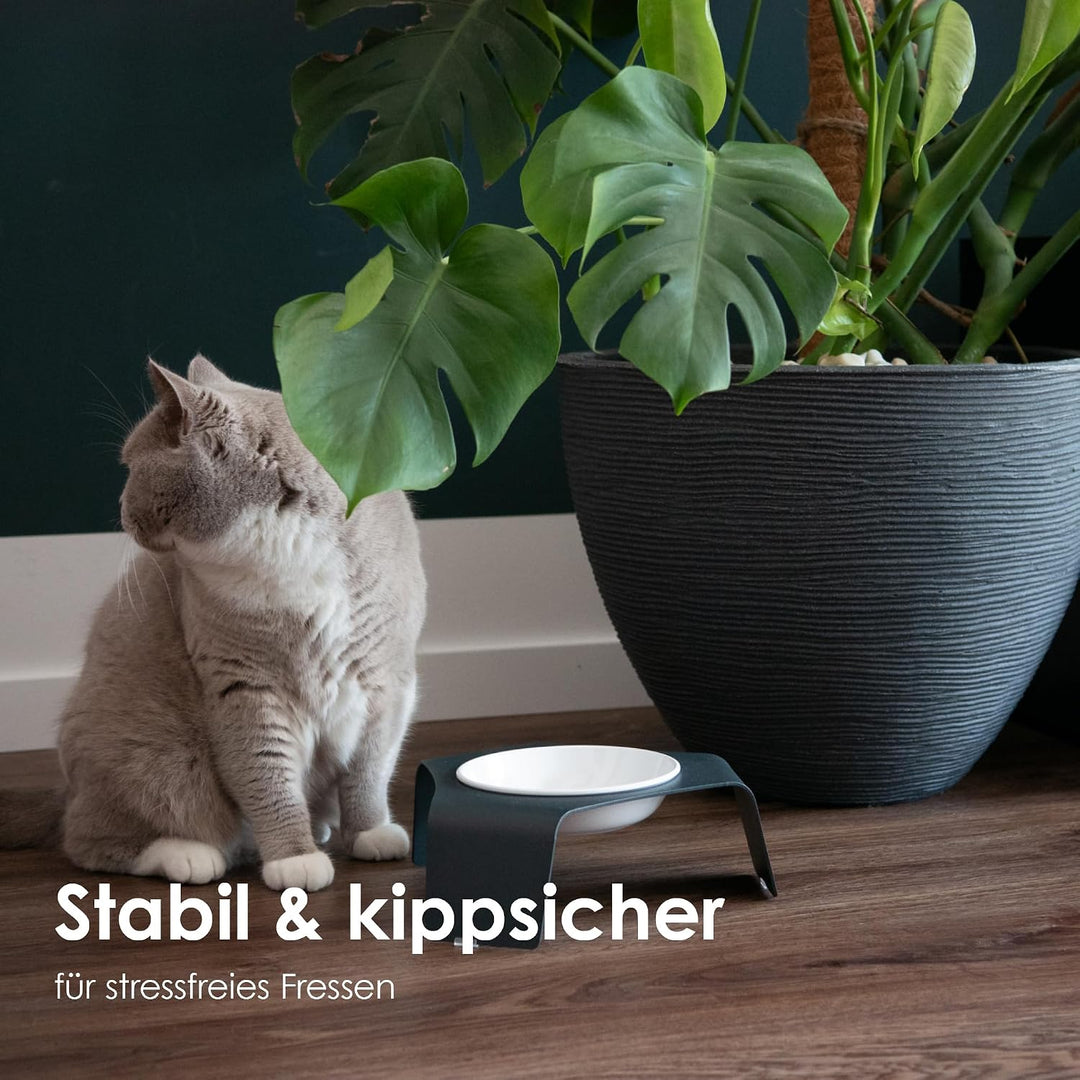 LucyBalu® Ergonomischer Katzennapf erhöht | Erhöhter Futternapf für Katzen | Ergonomischer Fressnapf