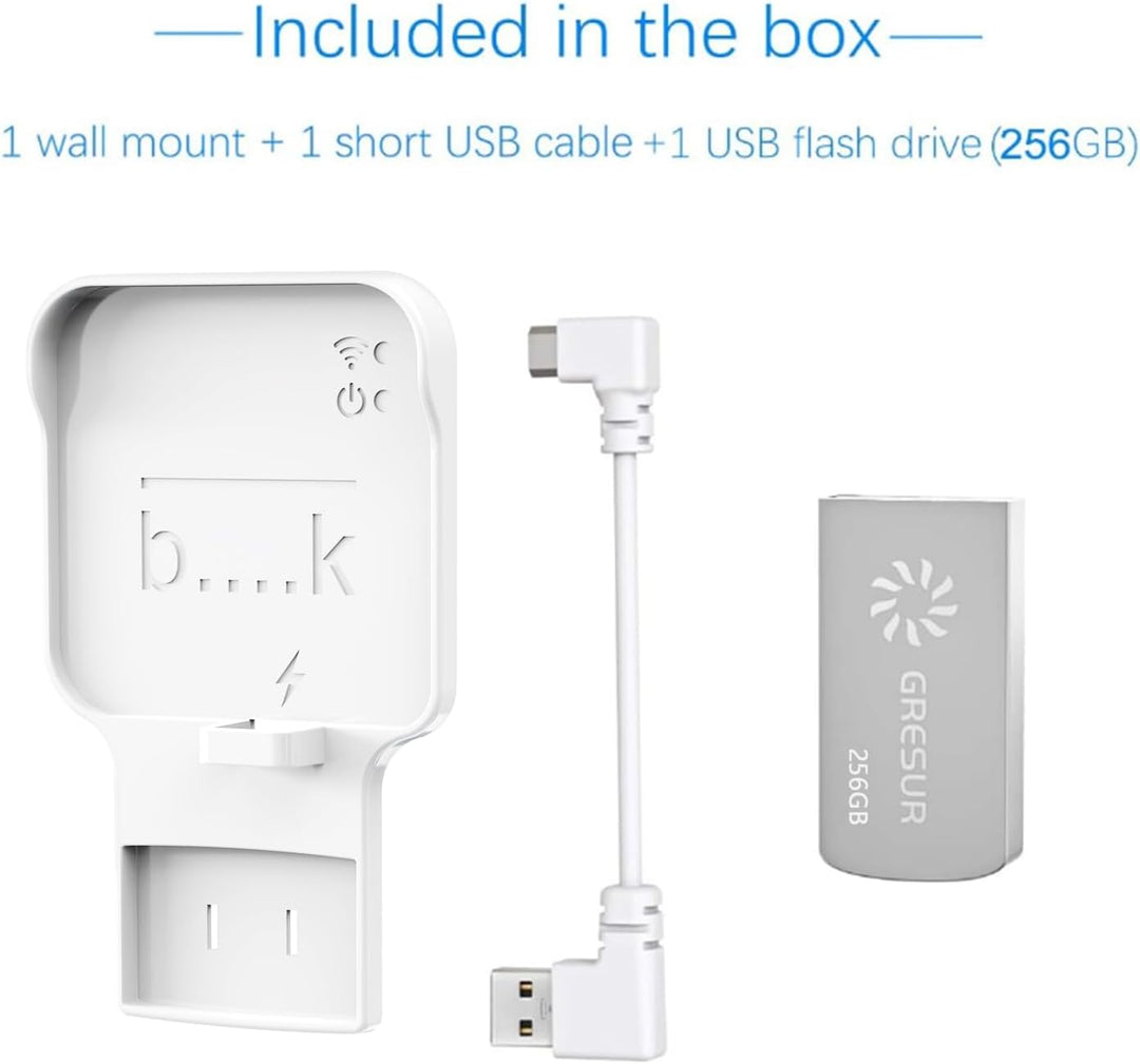256 GB Blink USB-Speicherstick für lokale Video-Speicher mit dem Blink Sync Modul 2 Halterung (Blink