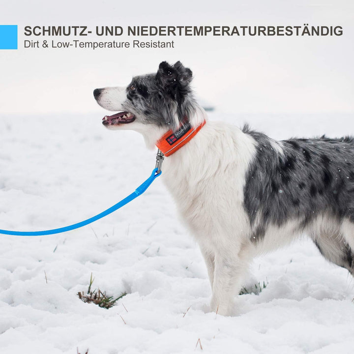 Toozey Schleppleine für Hunde, 5m / 10m / 15m / 20m Schleppleine mit Handschlaufe und Netztasche, Wa