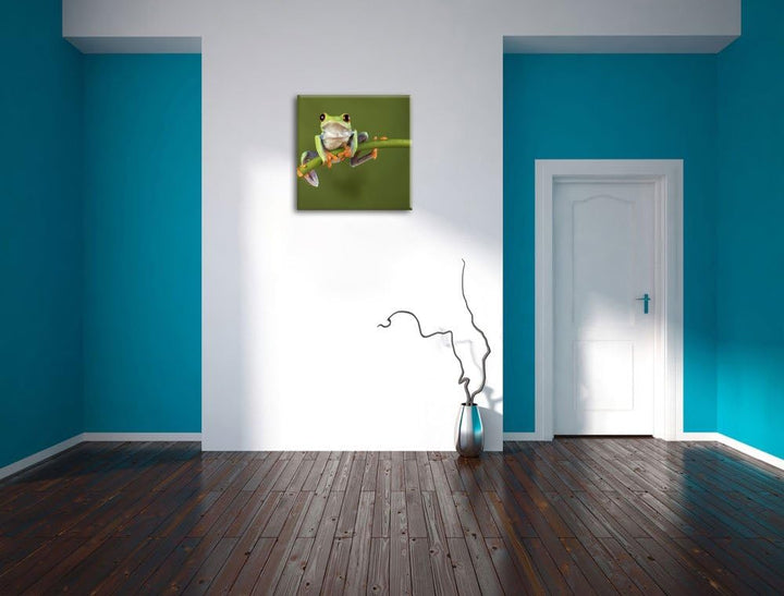 Baum-Frosch auf Bambus, Format: 70x70 auf Leinwand, XXL riesige Bilder fertig gerahmt mit Keilrahmen