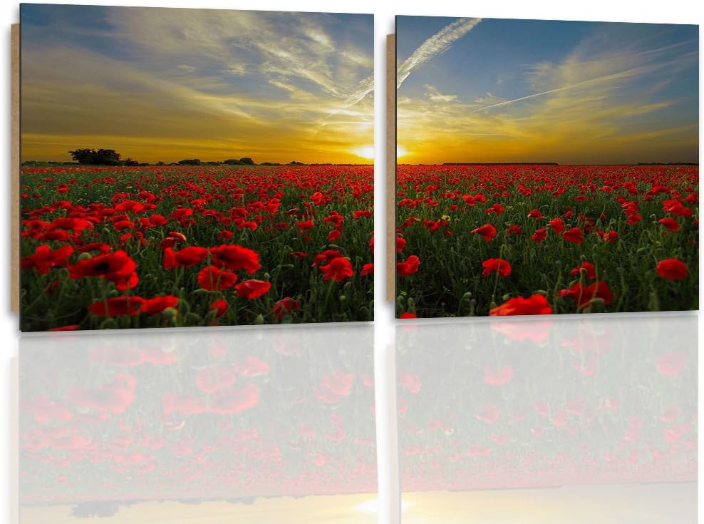 Feeby. Wandbilder - 2 Teile - 140x70 cm - quadratische Form Bilder Kunstdrucke Deko Panel MOHN, SONN