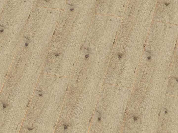 Laminat 8145 Bright Oak National Park Line Pro 8mm