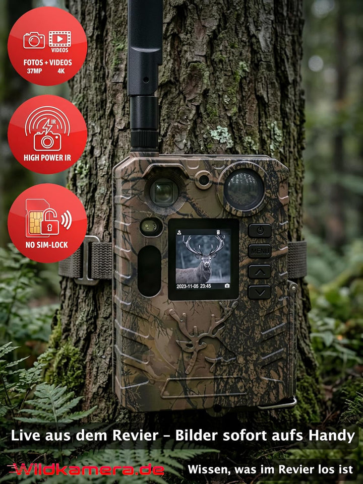 Wildkamera WildStream 4G LTE mit App – 4K Fotofalle mit jeder SIM Karte nutzbar, Live Bilder aufs Ha