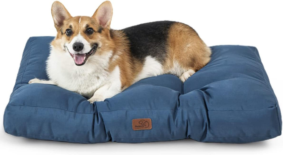 Bedsure Hundekissen kleine Hunde waschbar - 76x50cm Hundebett wasserdicht M für kleine, mittelgrosse