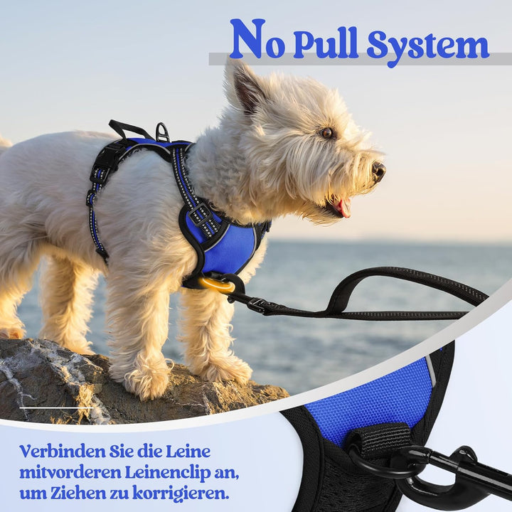 rabbitgoo Hundegeschirr Kleine Hunde, Anti Zug Geschirr mit Kontrolle, No Pull Verstellbar Hundegesc