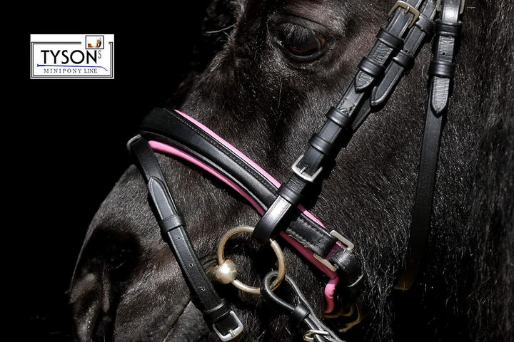 Trense Multi Minishetty Minishetty Rosa Hellblau zu wechseln ergonimisch geschnitten Ledertrense Led