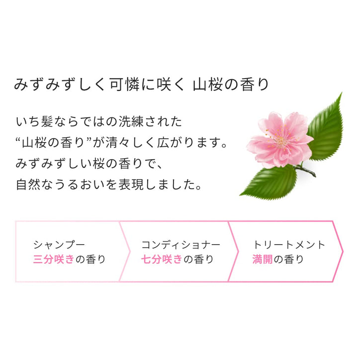 Ichikami Smooth Care Hair Conditioner Pump - 480ml