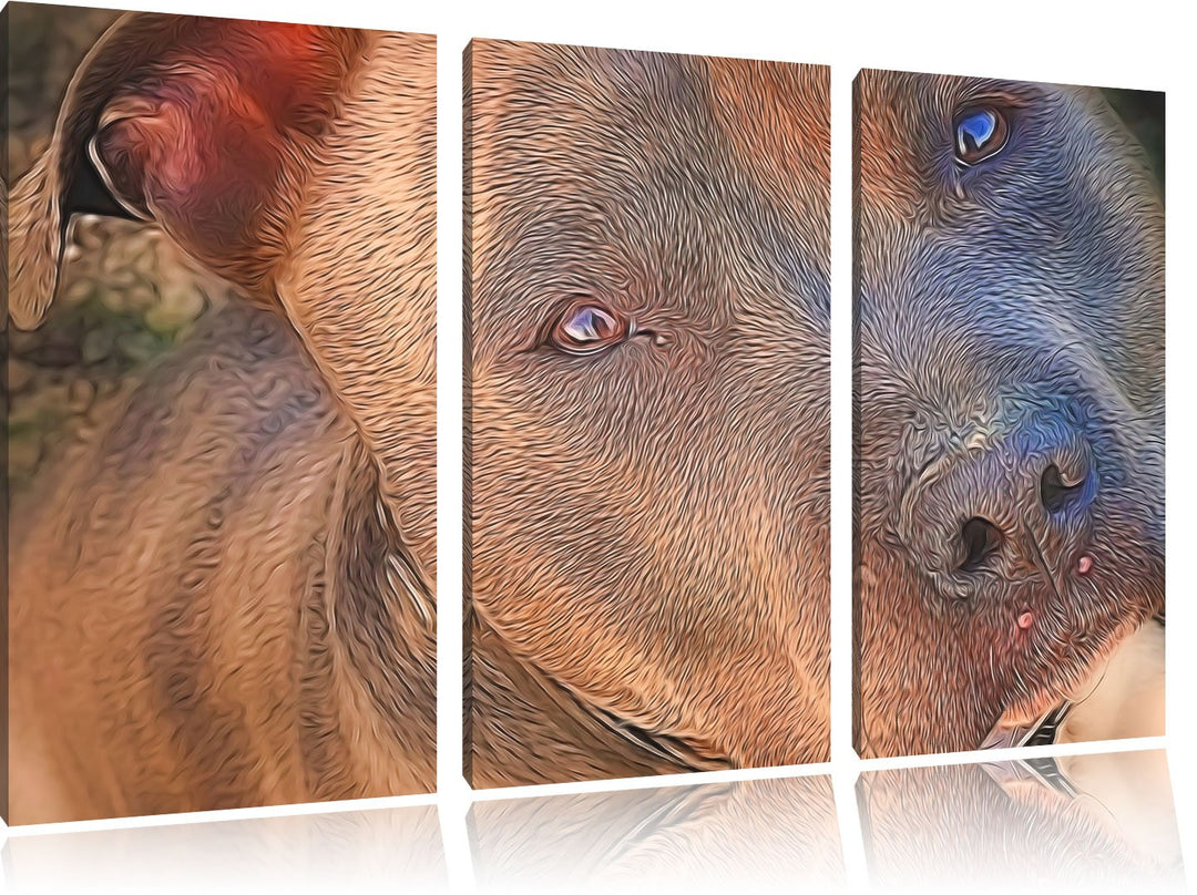 schöner Pit Bull Terrier NewArt 3-Teiler Leinwandbild 120x80 Bild auf Leinwand, XXL riesige Bilder f