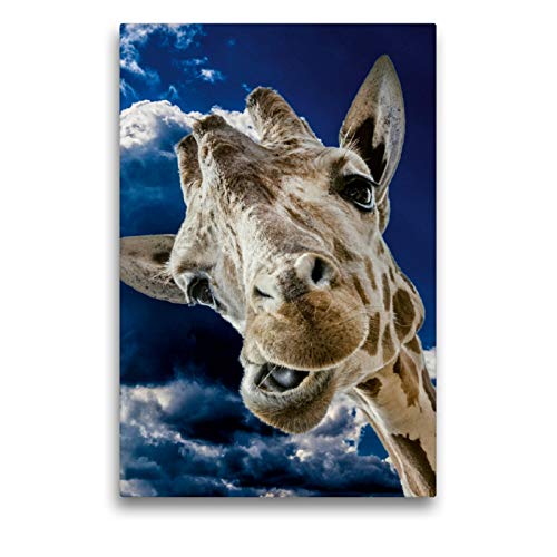 Premium Textil-Leinwand 50 x 75 cm Hoch-Format Giraffe | Wandbild, HD-Bild auf Keilrahmen, Fertigbil