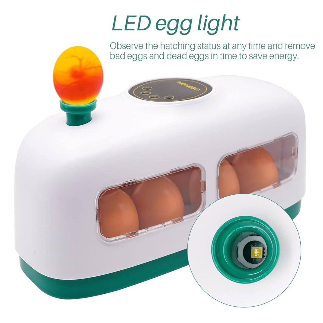 8 Eier Inkubator Hühner Brutmaschine für Geflügeleier, Kleiner Eierbrutschrank in Zugform mit Led-ei