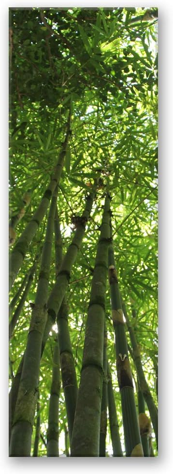 Feeby Leinwand Bilder - Natur - Wald - 50x150 cm- Deko Wohnzimmer - Wandbilder Schlafzimmer - Deko A