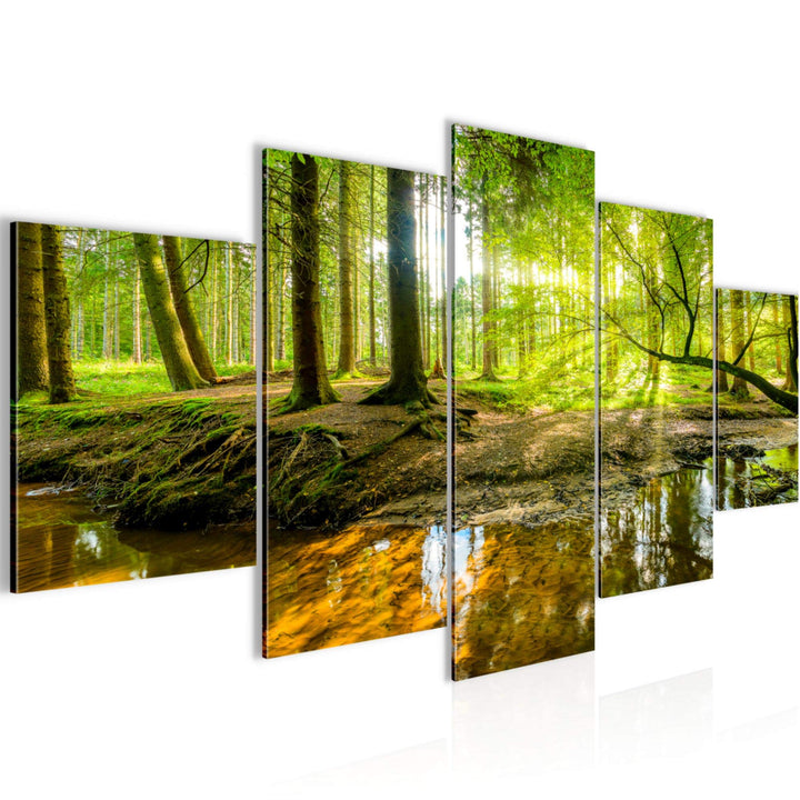 Runa Art Wandbilder Wald Landschaft 5 Teilig Bild auf Vlies Leinwand Deko Schlafzimmer Wohnzimmer Na