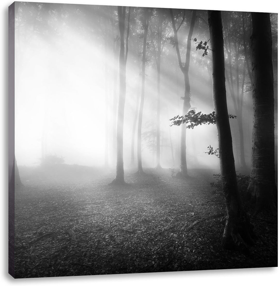 Pixxprint Düsterer Wald im Nebel Schwarz/Weiss, Format: 70x70 auf Leinwand, 70x70