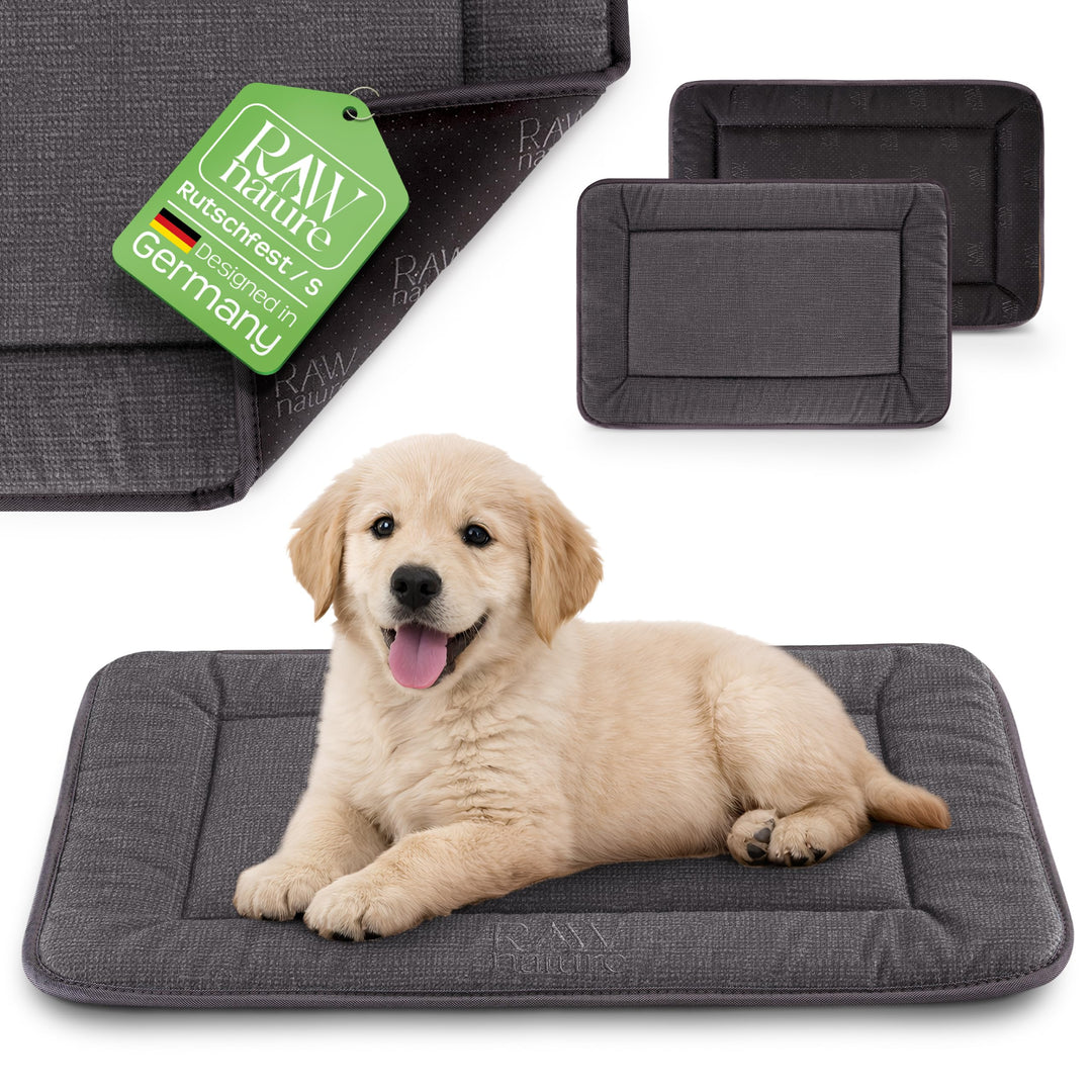 RAW Nature Hundematte KIVO S – 60x45x3 cm Alpengrau, rutschfeste Hundeliegematte aus Cord, waschbar,