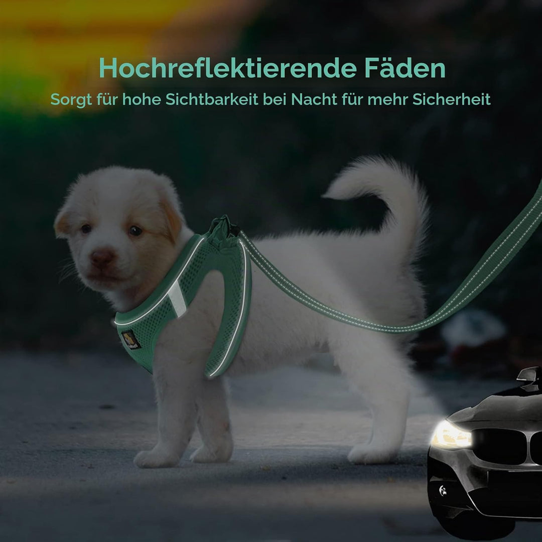 BELLA &amp; PAL Hundegeschirr Kleine Hunde mit Leine, Step-in Geschirr aus Air Mesh, Anti Zug Reflektier