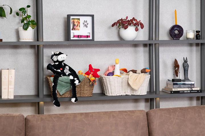OtterPets Gedenk-Bilderrahmen für Haustiere – Gedenken für Hunde & Katzen – Schattenbox, Black