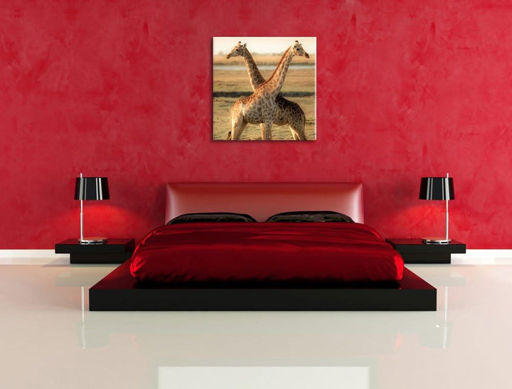 Giraffen Paar, Format: 70x70 auf Leinwand, XXL riesige Bilder fertig gerahmt mit Keilrahmen, Kunstdr