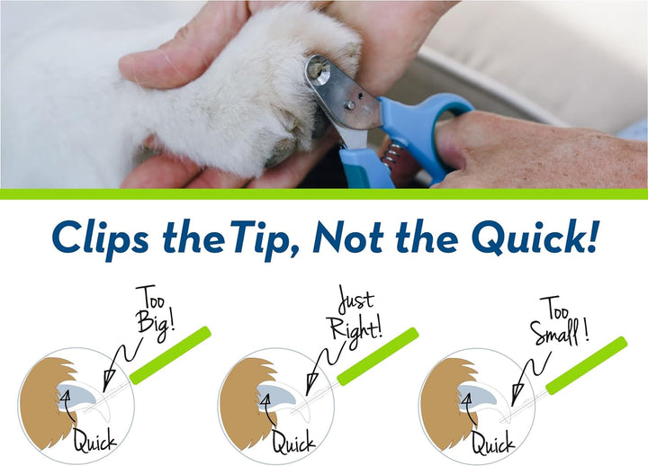 Zen Clipper eine revolutionäre Neue Pet Nail Clipper, die das Clip Nur die Spitze des Nail. Gelb 2.5