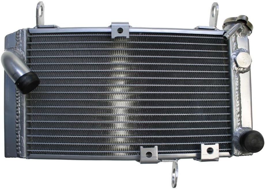 Wasserkühler SV 650