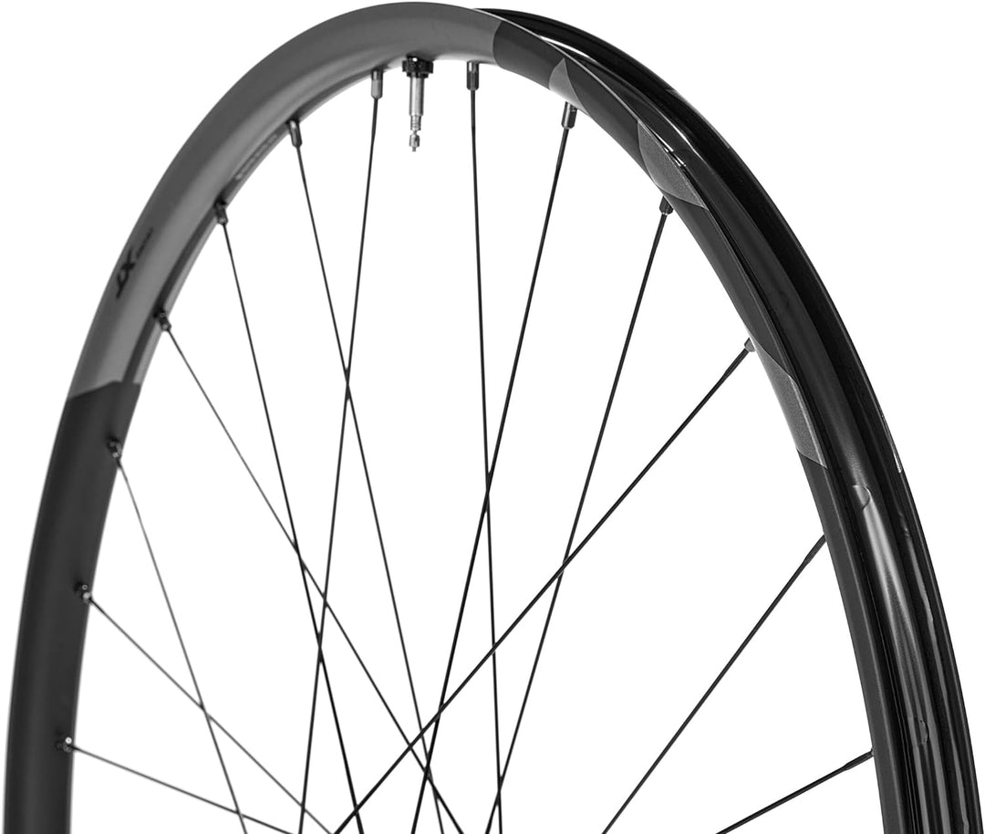 SHIMANO Unisex-Adult Rad nach. XT M8100 29" Fahrradräder, Mehrfarbig, one Size