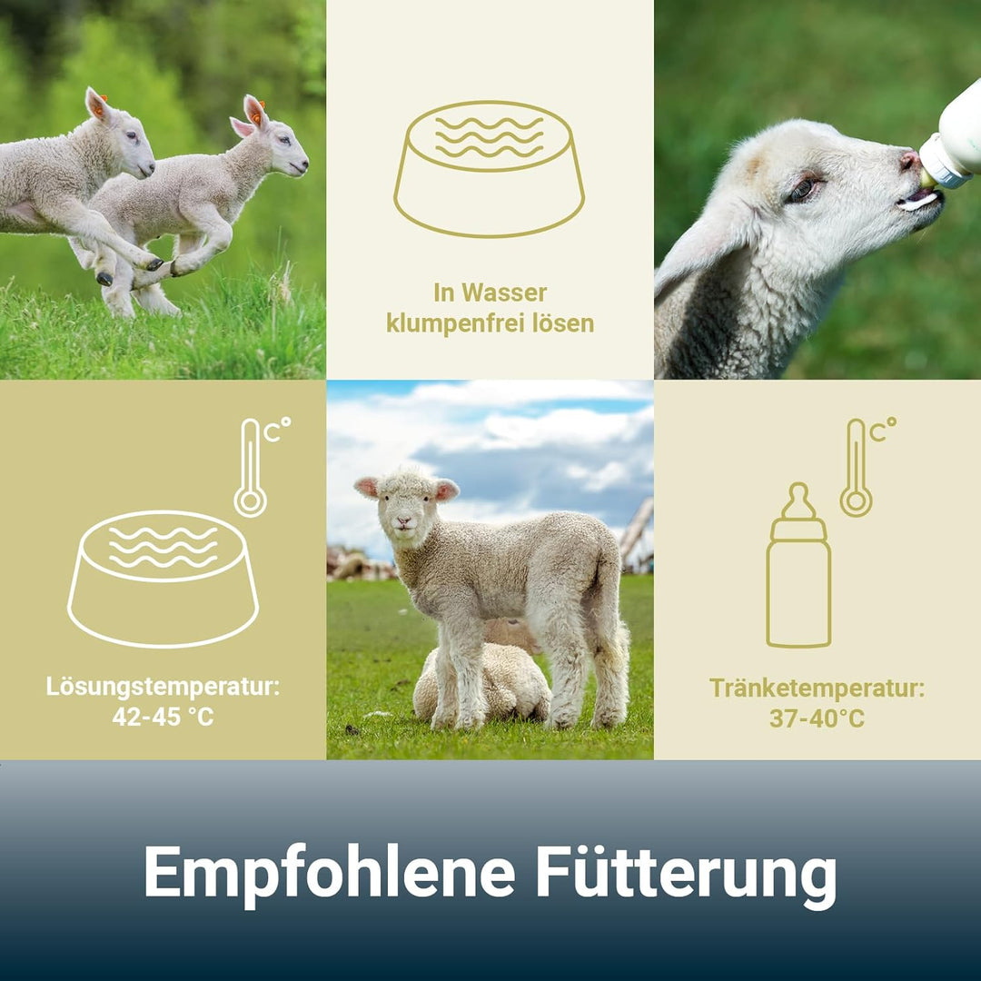 PANTO Lämmermilch Milchersatz 10 kg – Milchaustauscher für Schaflämmer & Ziegenlämmer, vollwertiger