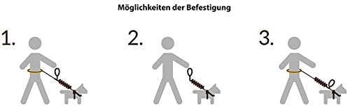 Dingo Jogginggurt 4 in 1 +Hundeleine mit einem Stossdämpfer Set L/XL Gürtel : 3,0 x 70-130 cm Hundel