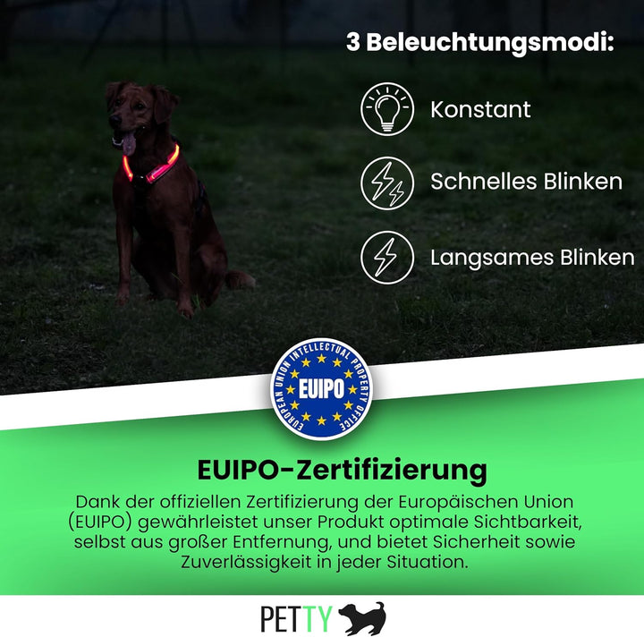 Petty Store -Leuchtharnisch für Hunde, wasserdicht, 3 Farben – Geschirr mit LED, USB-Aufladung bis z
