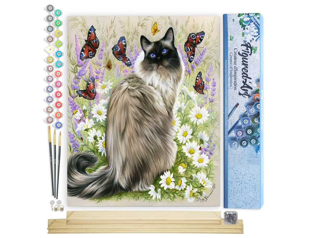 Figured'Art Malen Nach Zahlen Erwachsene Mit Rahmen Katze und Schmetterlinge - Paint by Numbers Bast
