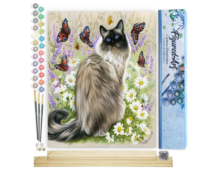 Figured'Art Malen Nach Zahlen Erwachsene Mit Rahmen Katze und Schmetterlinge - Paint by Numbers Bast