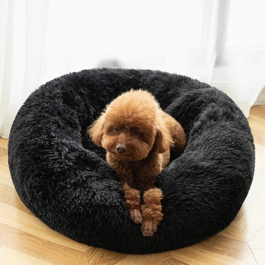 HACHIKITTY Tierhaarschneidemaschine Hundeschermaschine M (24 X 24") schwarz, M (24 X 24") schwarz
