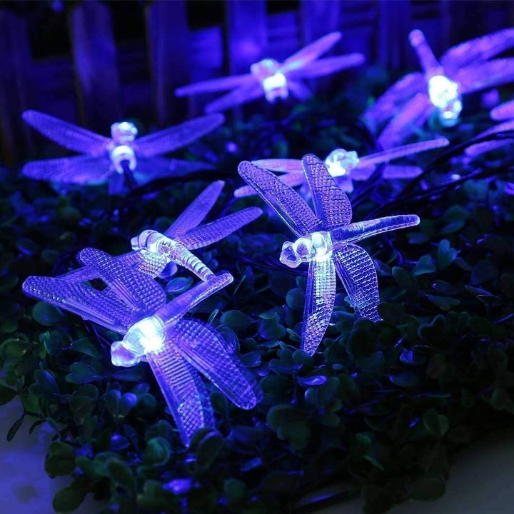 Solar Libellenlichterkette 20FT / 30 LED wasserdichte Innen- und Aussenmärchendekorationslichter, ge