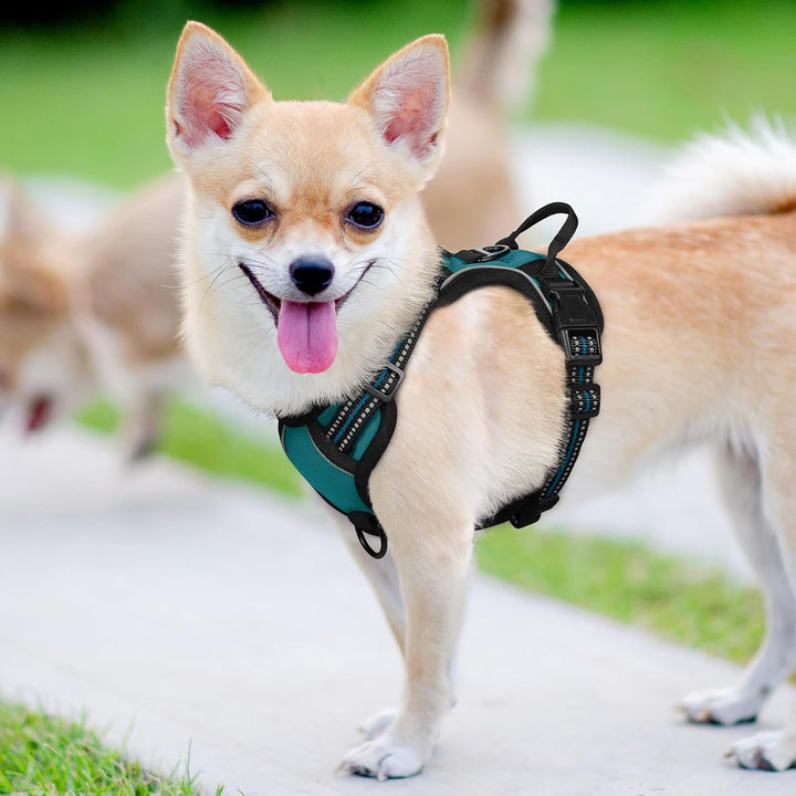 rabbitgoo Hundegeschirr Mittelgrosse Hunde, Anti Zug Geschirr mit Kontrolle, No Pull Verstellbar Hun