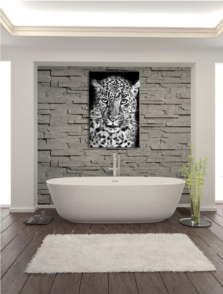 Pixxprint Stolzer Leopard / 100x70cm Leinwandbild bespannt auf Holzrahmen/Wandbild Kunstdruck Dekora