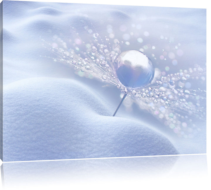 Pixxprint Tautropfen auf Einer Pusteblume im Schnee, Format: 100x70 auf Leinwand, 100x70