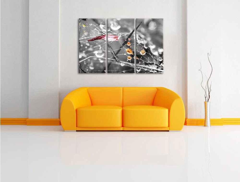 Pixxprint Spinnennetz mit Wassertropfen B&W Detail 3-Teiler Leinwandbild 120x80 Bild auf Leinwand