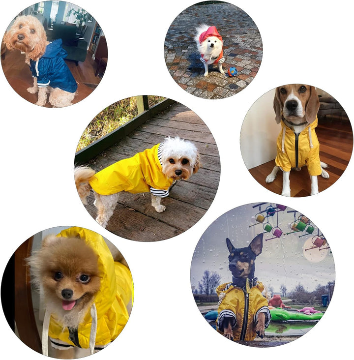 Pethiy Premium hunderegenmantel,Wasserdicht Hundemantel mit Kapuze Hundebekleidung Hunde Regenjacken