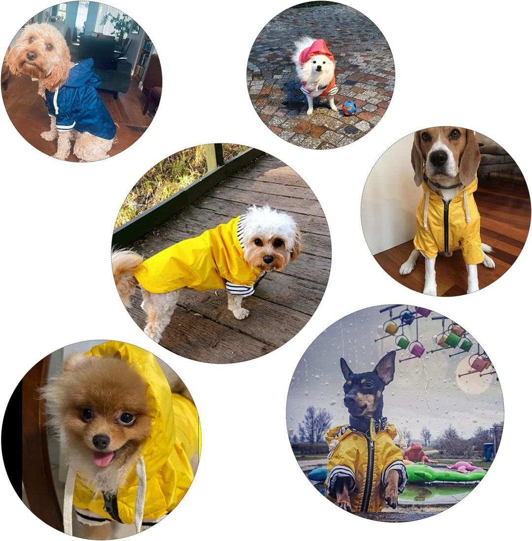 Pethiy Premium hunderegenmantel,Wasserdicht Hundemantel mit Kapuze Hundebekleidung Hunde Regenjacken