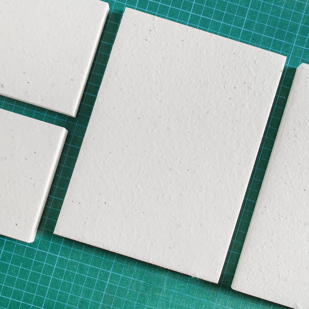 BLOOMING Aussaatpapier - 50 Blatt - DIN A6 150 g/m² - 10,5 x 15 cm - weiss - Blanko - biologisch abb
