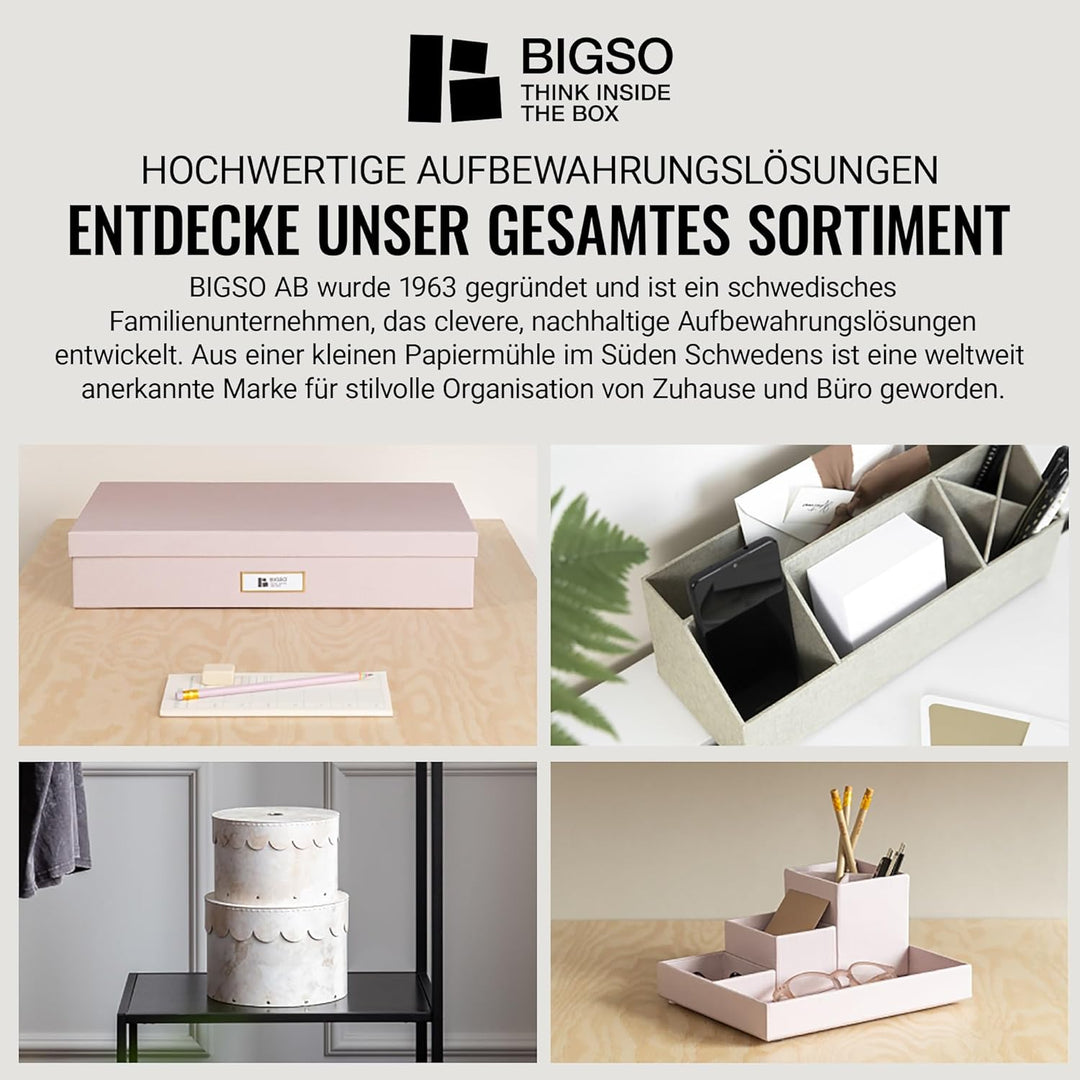 BIGSO JOHAN Hängeregisterbox A4 – Hängemappenbox mit Deckel und Griff – Schreibtischablage für Hänge
