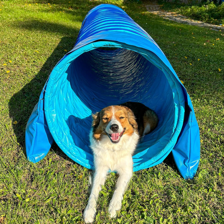 Callieway® Dog Agility Tunnel Profi Hunde Tunnel Agility Gerät (Stützsandsäcke bereits inklusive) (H