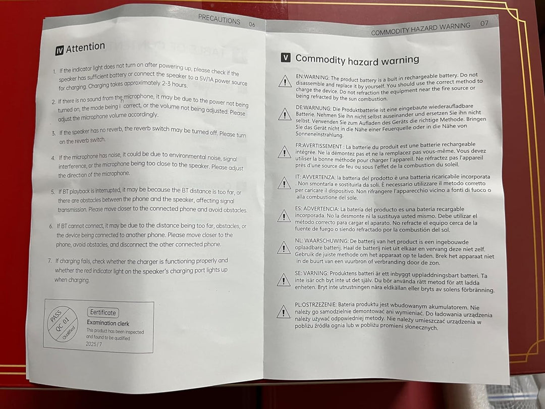 Tragbare Karaoke Maschine Anlage mit 2 Drahtlosen Mikrofonen für Erwachsene & Kinder Bluetooth Lauts