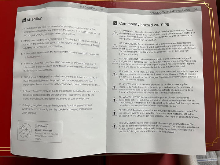 Tragbare Karaoke Maschine Anlage mit 2 Drahtlosen Mikrofonen für Erwachsene & Kinder Bluetooth Lauts