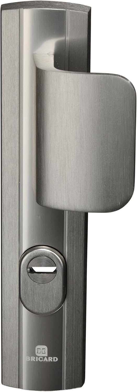 Bricard Expression 9910051 Türgriff-Set, geschirmt auf Platte, Seitenständer und Spoiler, für Eingan