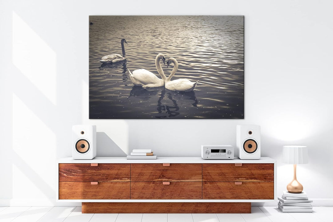 deyoli liebende Schwäne formen ein Herz Format: 80x60 als Leinwand, Motiv fertig gerahmt auf Echthol