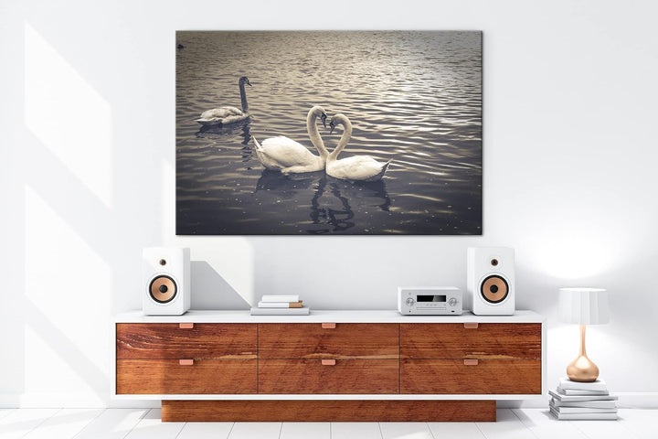 deyoli liebende Schwäne formen ein Herz Format: 80x60 als Leinwand, Motiv fertig gerahmt auf Echthol