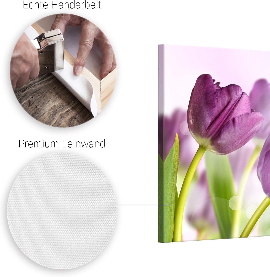 ge Bildet Bild auf Leinwand | Tulpe in 70x50 cm als Wandbild | Wand-deko Dekoration Wohnung modern B