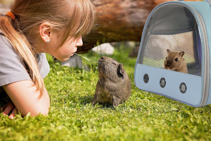 Meerschweinchen Träger Rucksack, klare Blase Fenster Rucksack für Meerschweinchen, Hase Ratte Vogel