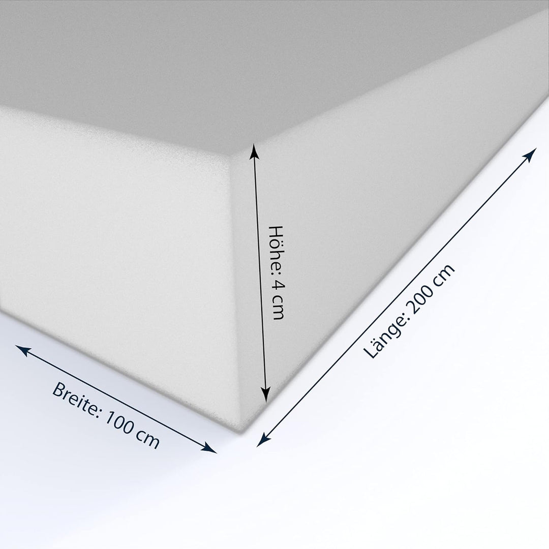 MSS e.K. Schaumstoffplatte Polster Auflage Topper - 200 x 100 x 4 cm - RG27/45 4 cm 100 x 200 cm, 4