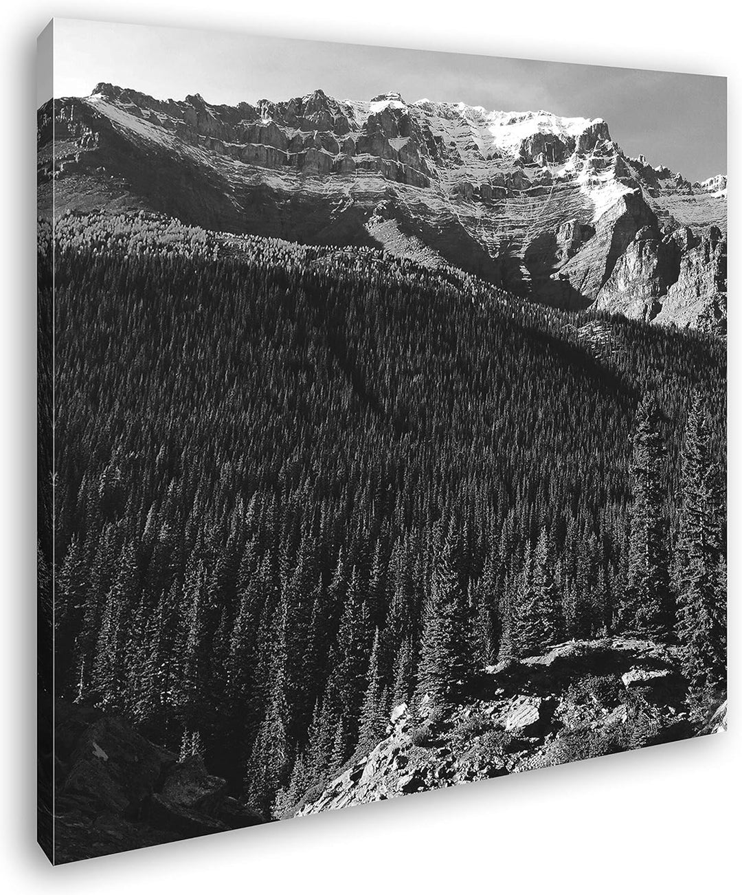 deyoli Atemberaubende Waldlandschaft Format: 70x70 Effekt: Schwarz&Weiss als Leinwandbild, Motiv auf
